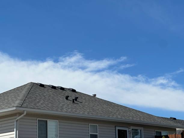 Bloomington, MN Roofing Services Company